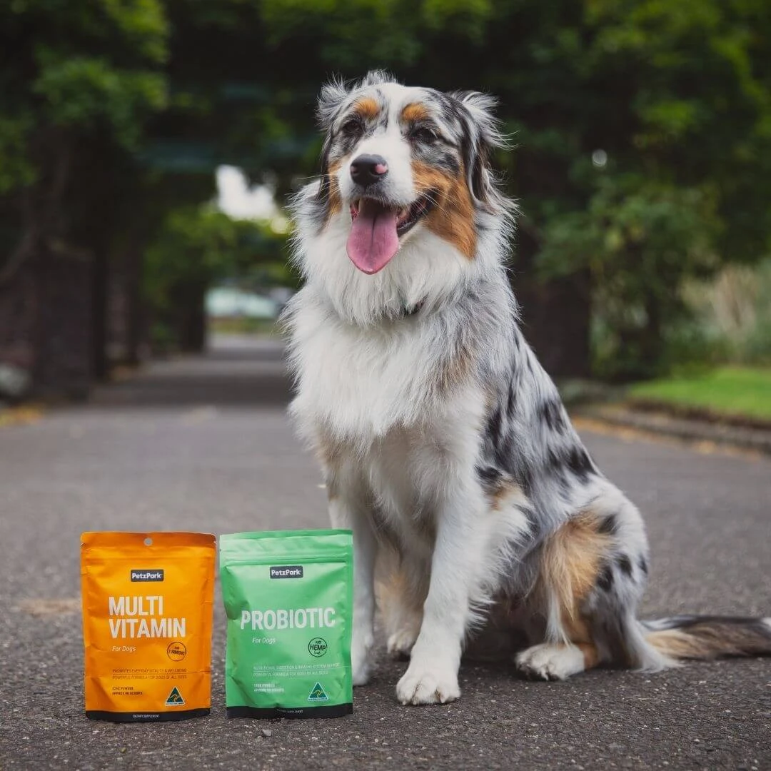 Health Boost Duo 8 Health Boost Duo - Image 6