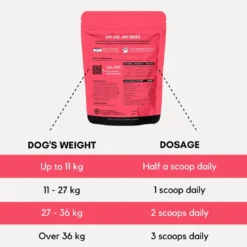 Winter Care For Dogs -Tv Cabinet Store HJDOSAGE