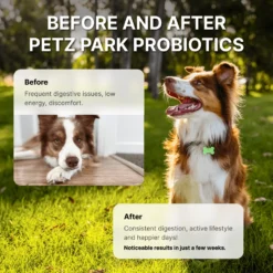Probiotics For Dogs -Tv Cabinet Store ProbioticsforDogsBeforeandAfter