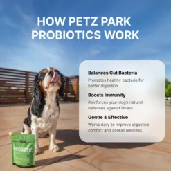 Probiotics For Dogs -Tv Cabinet Store ProbioticsforDogsBenefits