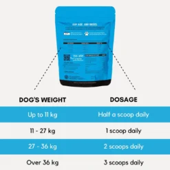 Winter Care For Dogs -Tv Cabinet Store SCDOSAGE